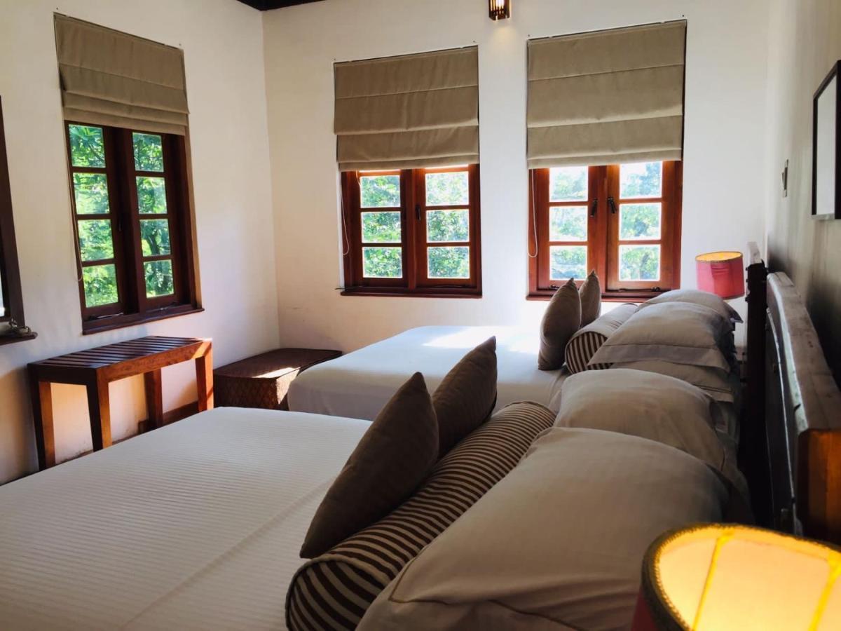 Tea Cottage Resort & Spa Навалапития Екстериор снимка